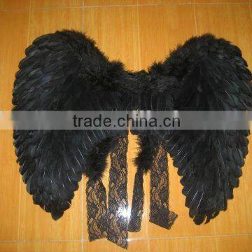 Black Feather Wing