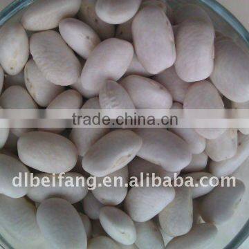 Medium white kidney bean 2011 crop, Heilongjiang origin, Hps)