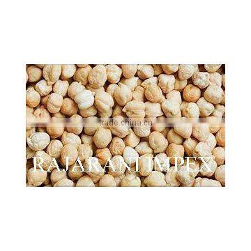 chickpeas kabuli variety