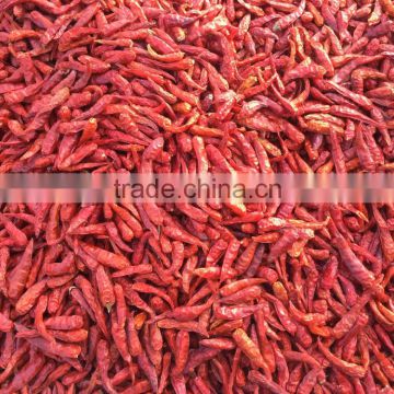 Dried Chilli