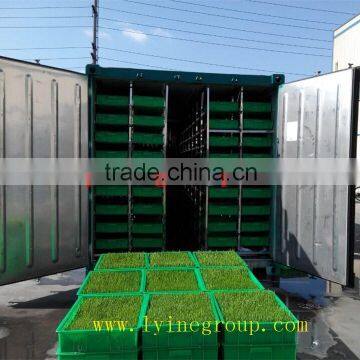 hydroponic fresh wheatgrass growing system pistachios sprouting machine/Green Barley Fodder Machine/green fodder making machine