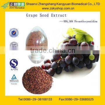 Pure Grape Seed Extract Proanthocyanidins 95% From Assessment Supplier