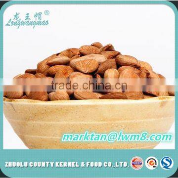 The Most Competitive Price of Sweet Apricot Kernels in 2015. photo-2