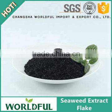 Worldful supply 100% natural and organic seaweed extract flake from China