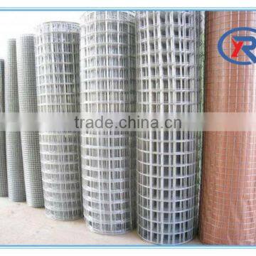 China Supplier Low Cost Hot Dipped 1/2 Inch Galvanized Welded Wire Mesh/welded Wire Mesh for Breeding Animals photo-6