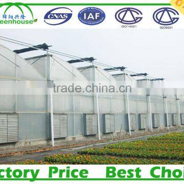 Pc Sheet / Polycarbonate Greenhouse For Flower Growing