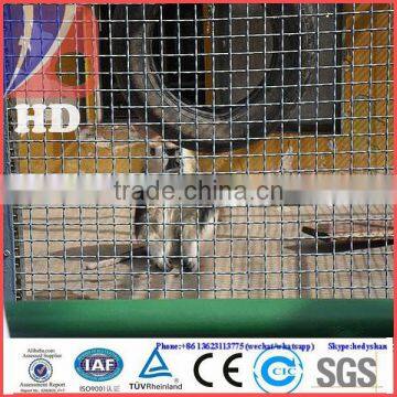 High quality Crimped Wire Mesh protect Screen ( China manufacturer )