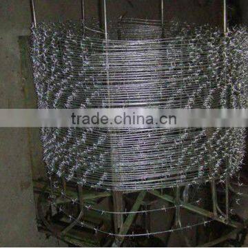 Galvanized double twist barbed wire