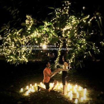 Home indoor outdoor decoration copper string light merry christmas wedding warm white fairy firefly string light set