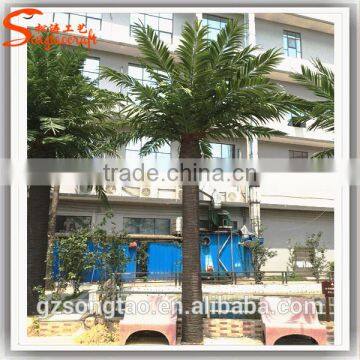 Artificial Palm Tree High Quatily Fiber Glass Trunk PE Leave Outdoor Landscape Decoration Plastic Big Date Palm Tree for Sale photo-2