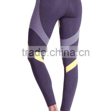 Top Quality Best Sexy Tight Gym Shark Yoga Pants Body Building Wear Legging photo-2