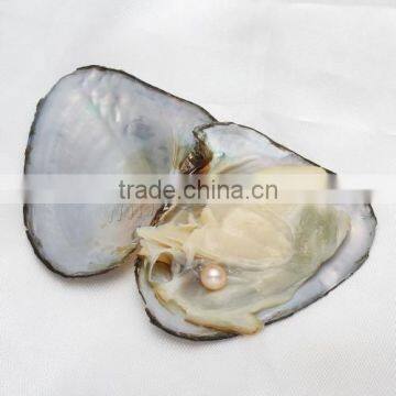 2017 New Fashion Jewelry Freshwater Cultured Pearl Oyster Potato Mixed Colors photo-6