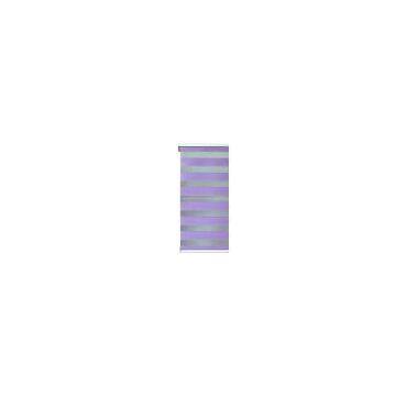 two layer zebra blind