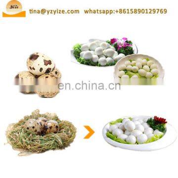 Stainless Steel Quail Egg Peeler Machines Peeling Quail Egg , Machine Peeled Quail Eggs photo-3
