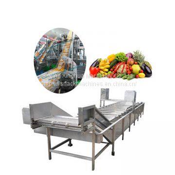 fruit drying system