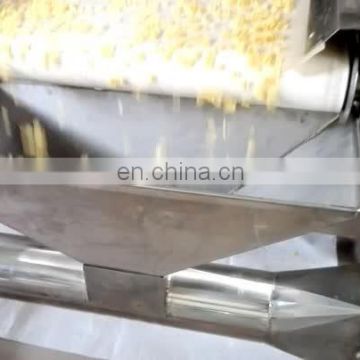 China New Design High Efficiency Factory Price Natural  And Coated Corn Flakes Extruder Machine