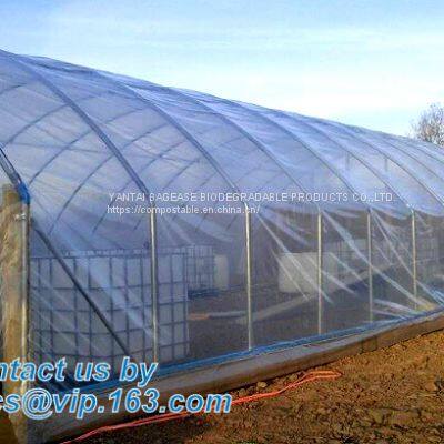 Plastic Film Agriculture Greenhouse,6 Mil Poly Anti-uv Plastic Greenhouse Film,Anti-fog UV Resistant,mushroom,TOMATO PAC photo-2