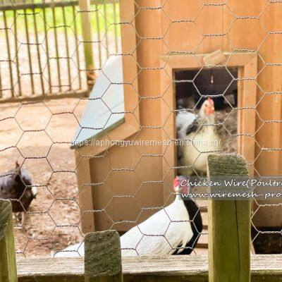 Chicken Wire Hexagonal Wire Mesh Chicken Wire Netting Wire Netting Poultry Fence Poultry Mesh photo-4
