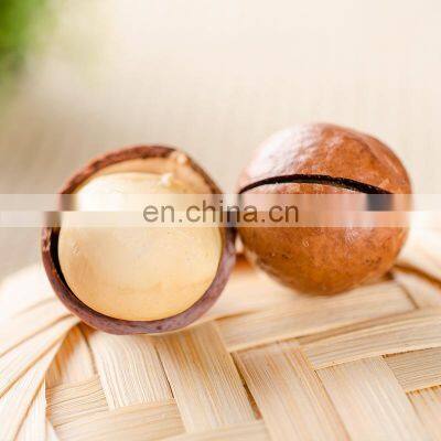 Sea Freight Philippines Cheap Price Door to Door Delivery Ready to Eat Macadamia Nut for Sale photo-2