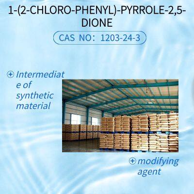 1-(2-CHLORO-PHENYL)-PYRROLE-2,5-DIONE CAS NO:1203-24-3 photo-5