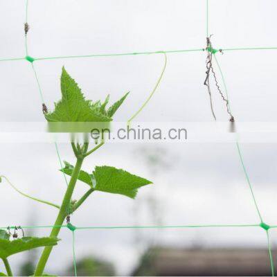 PEA & BEAN / FLOWER MESH