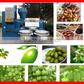 advance design full automatic avocado oil press machine 6YL-160A