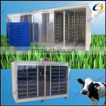 hydroponics wheat sprout system for growing barley,wheat sprouts system