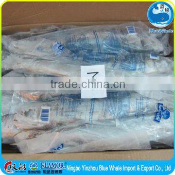 Frozen mackerel (gutted and the gills) wholesale prices