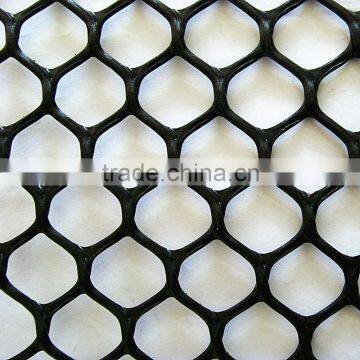 HDPE Geonet/Grass Reinforcement Mat