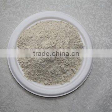 Powder Shape and 100% Pure Dried Garlic Powder photo-3