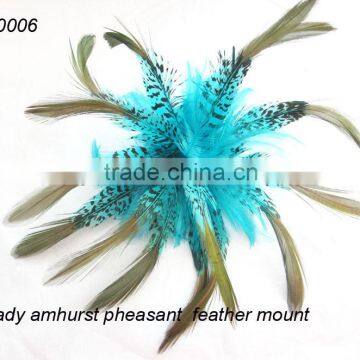 Fashion lady amhurst pheasant feather mount