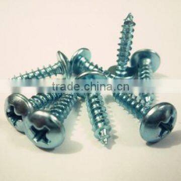 Blue and White Zinc Plating Self tapping Screws