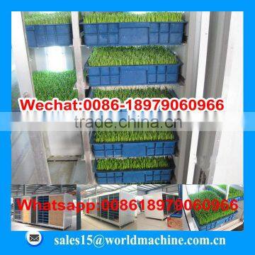 Hydroponicpoultry Feed Machine for Sale/hydroponic Fodder System/hydroponics Fodder Hydroponic Culturing Barley Breeding Machine photo-6