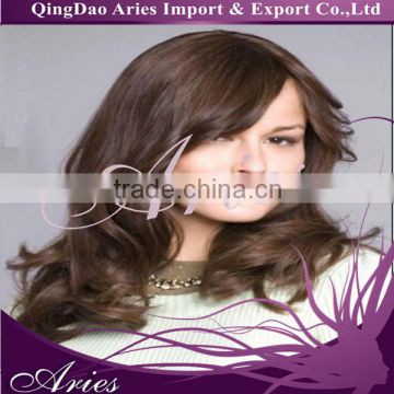 Glueless Lace Front Wig Loose Wave Indian Human Hair Full Wig Black 1B