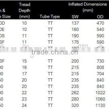 Trade Assurance Skid Steer Tire 8.25-15 and Rapid Brand Xingyuan Tire With Factory photo-3