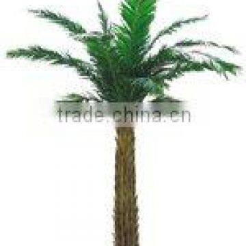 Black Palm Tree