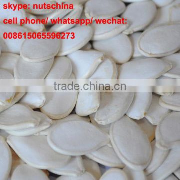 CHINESE SNOW WHITE PUMPKIN SEEDS FOR JORDAN 11cmup 13 cm up 11mm up 13 mm up