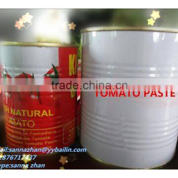 850g*12 cartons ,middle size square tin can in tomato paste,with 5% water