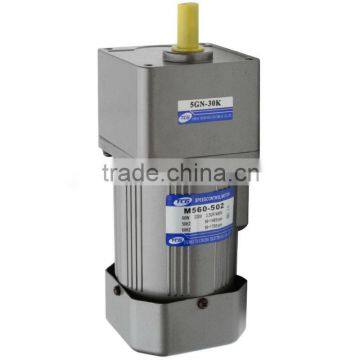 Micro Small AC GearedHead Induction motors