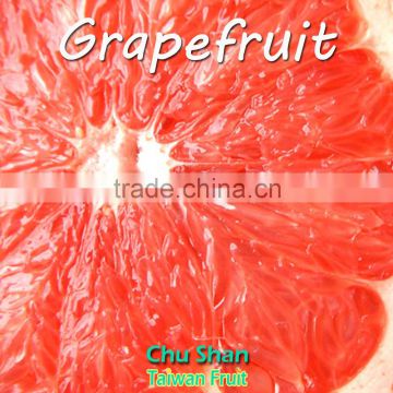 Best quality fresh Grapefrui