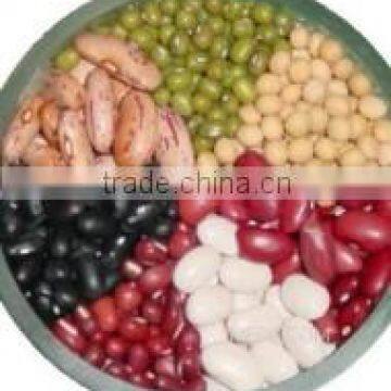 MAKROYAL CANNED DARK RED KIDNEY BEANS