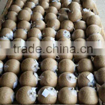 Fireworks Pyrotechnics Shell Machine photo-4