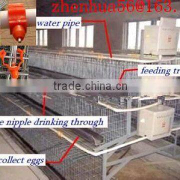 high quality china chicken house design for chicken cage/quail cages for kenya market