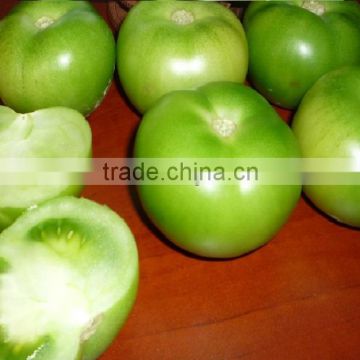 Fresh Green Tomatoes