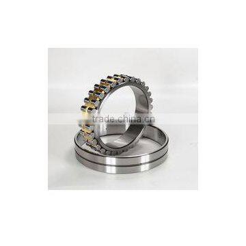 Mixer Professional Bearing NNU4856 Double Row Cylindrical Roller Bearing