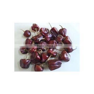 Round Chilli From SouthIndia photo-3