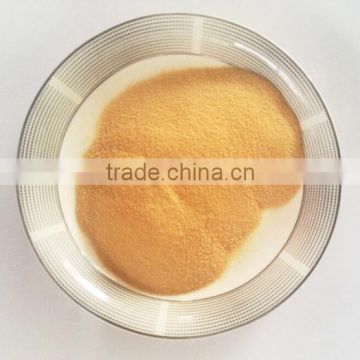 Top Quality Food Grade Corn Peptide Powder Nutritional Supplement