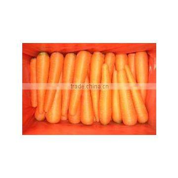 Fresh Carrot 2016 Crop photo-6