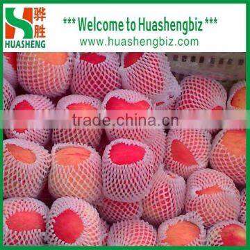 Chinese Fuji Apple/fresh Apple Fruit Specification/apple Price photo-2