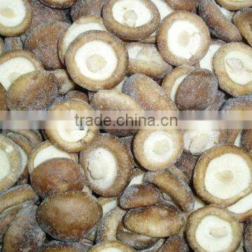 Fresh IQF shiitake mushroom